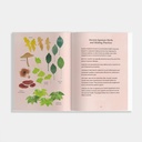 Shibui: Embracing the Beauty of Aging