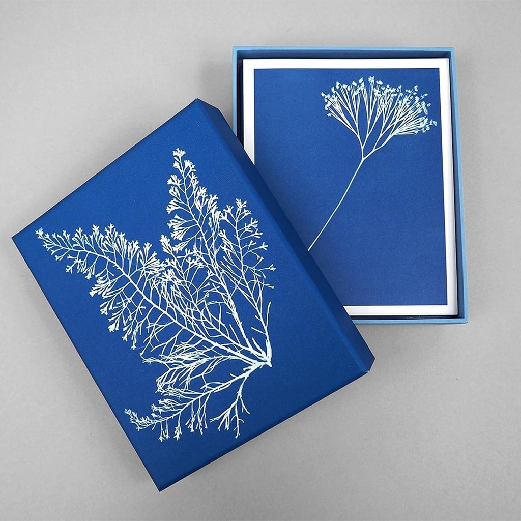 Sunprint Notecards
