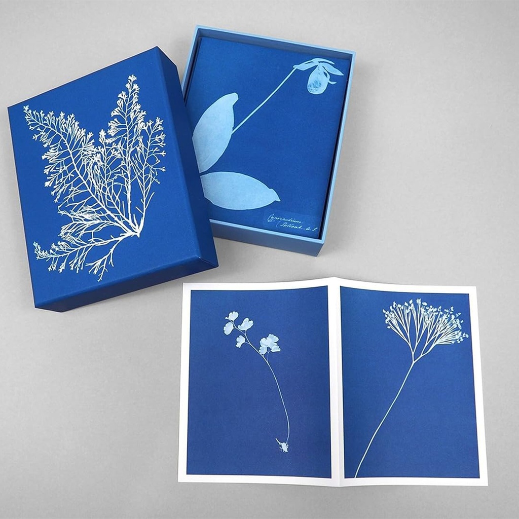 Sunprint Notecards