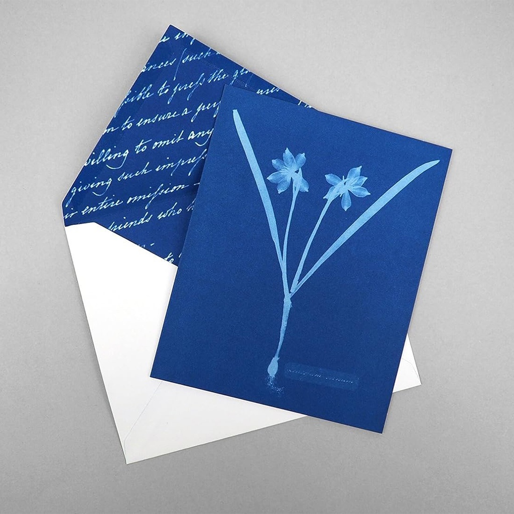 Sunprint Notecards