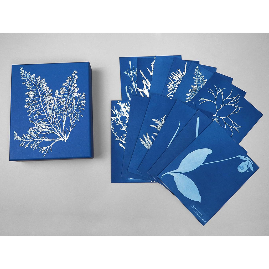 Sunprint Notecards