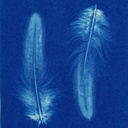 Cyanotype Cotton Squares