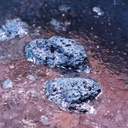 Indigo, Natural Dyed Boxed Collection 