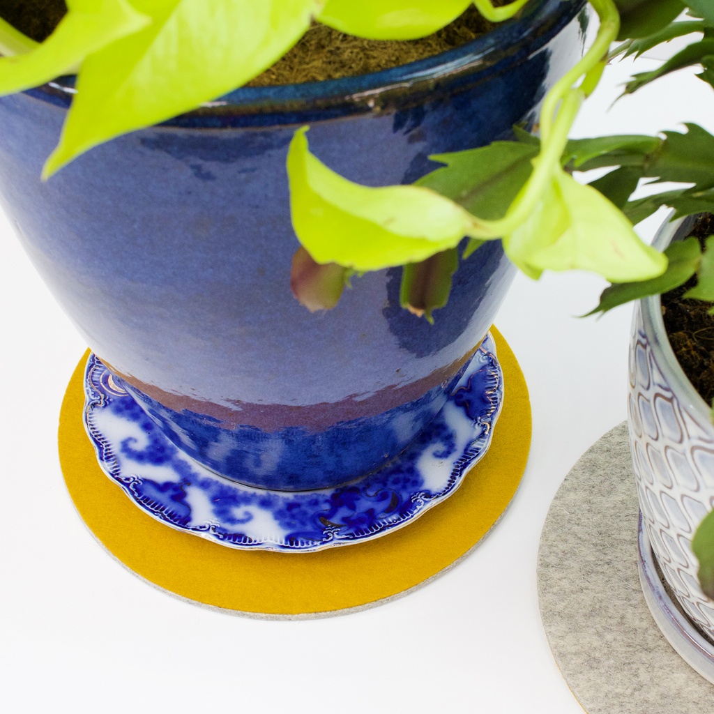 Multi Colored Trivet 8" - Merino Wool Felt - Set of 2