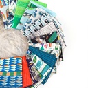 Flying South FQ Bundle