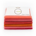 5" x 5" Solid Paint Chips - Orange