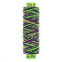 Hummingbird - Eleganza (EZM15)