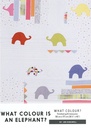 JKD What Colour is an Elephant Pattern