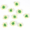 Green, 10 Pack, 9/16" Ombre Ribbon Flowers