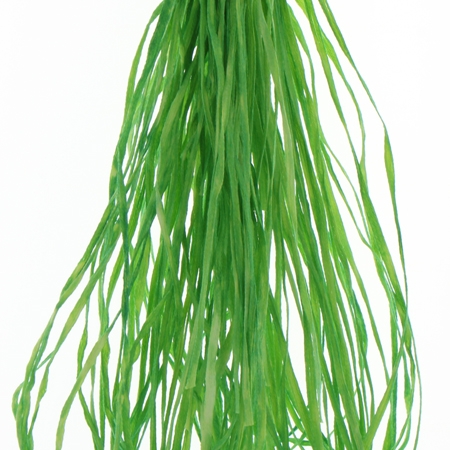 [SSF_0450] Straw Silk Fiber - Irish Eyes