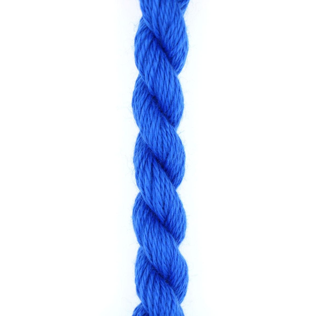 Silk & Ivory - Delphinium