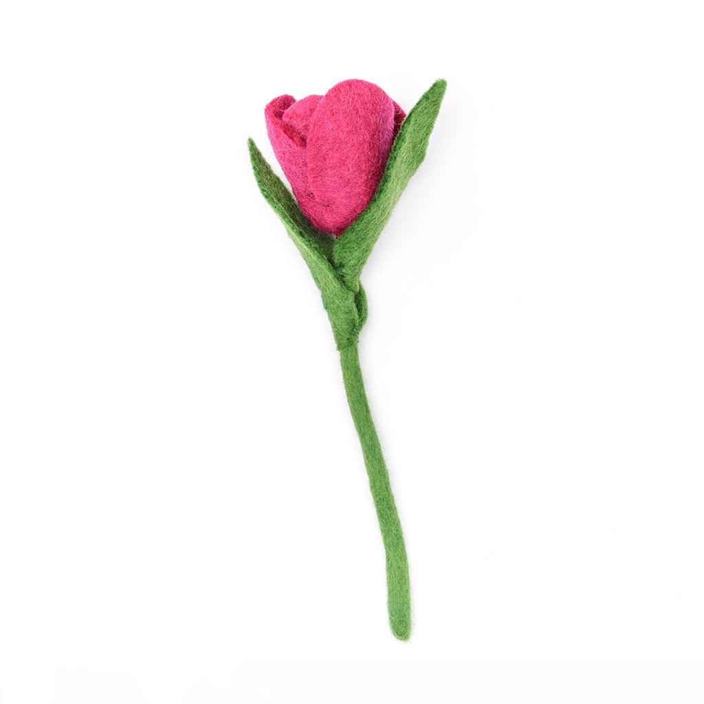Tulip Flowers