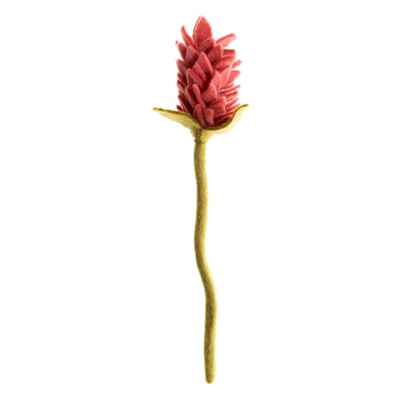 Alpinia, Coral Pink