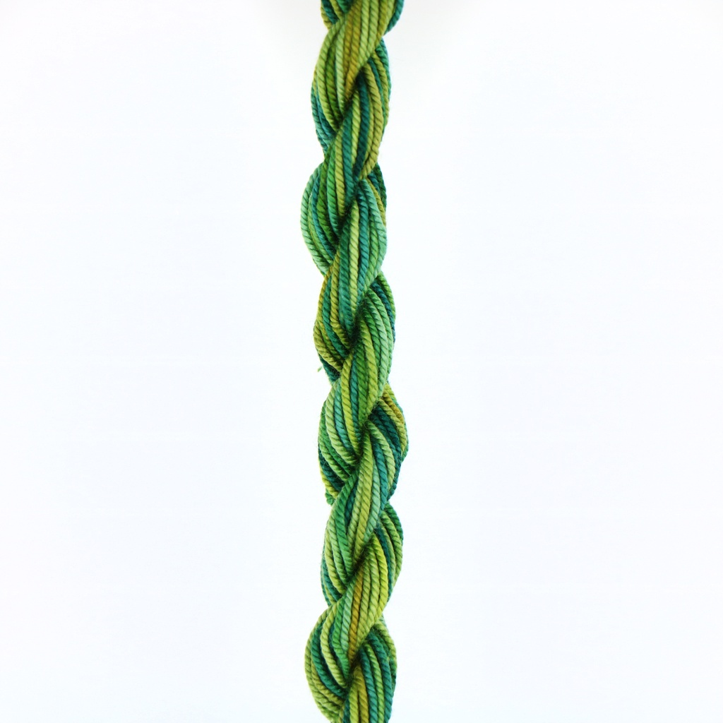 Shinju Silk Pearl - Hosta Garden