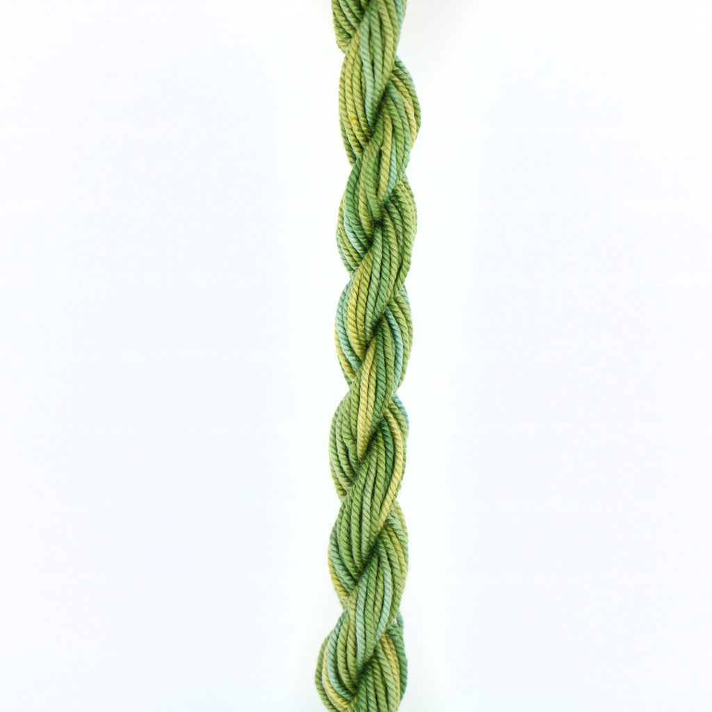Shinju Silk Pearl - Miss Lemon Abelia