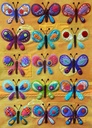 Craftsy, Butterfly Sampler