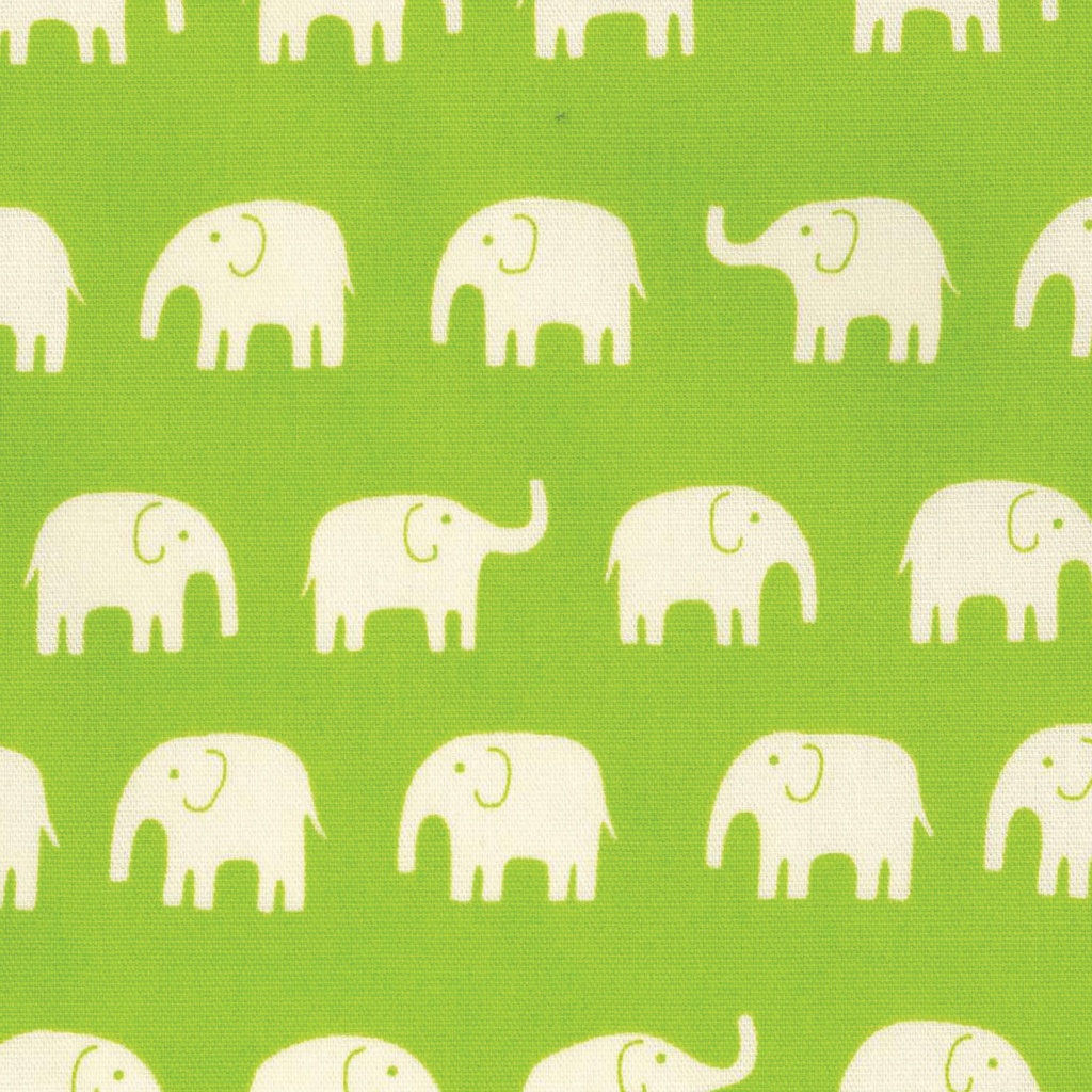 #4872 Half Yard - Canvas