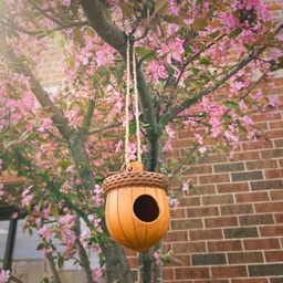 Day 10 - Acorn Terracotta Birdhouse