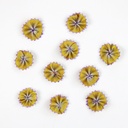 Bear's Ear, 10 Pack, 9/16" Ombre Ribbon Flowers