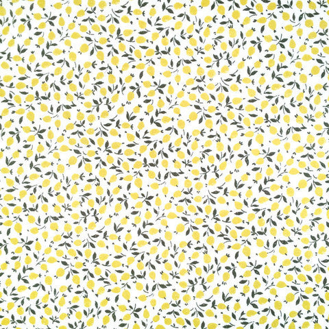 #6014 Half Yard
