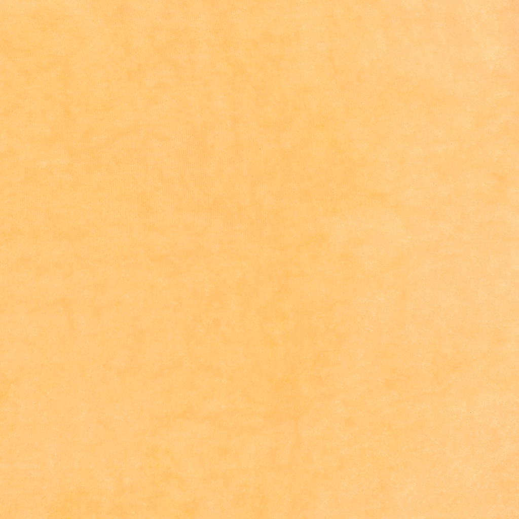 Hand Dyed Velvet - Dried Apricot