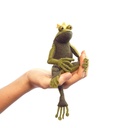 Frog Prince Kit