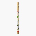 Curio Pen