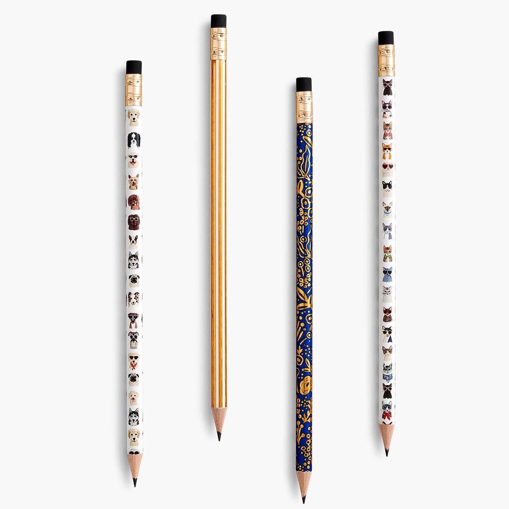 Cats & Dogs Assorted Writing Pencils