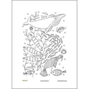 Trade Winds, Belgian Linen Embroidery Panel