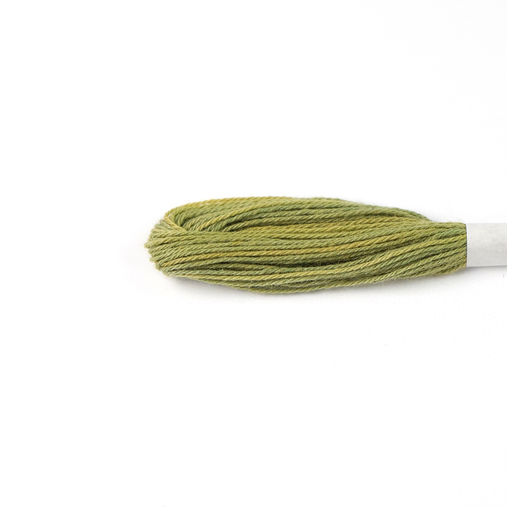 Natural Dyed Embroidery Thread - Green 11