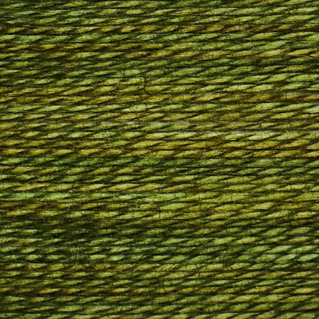 Jack Pine - Acorn Bobbin (236)
