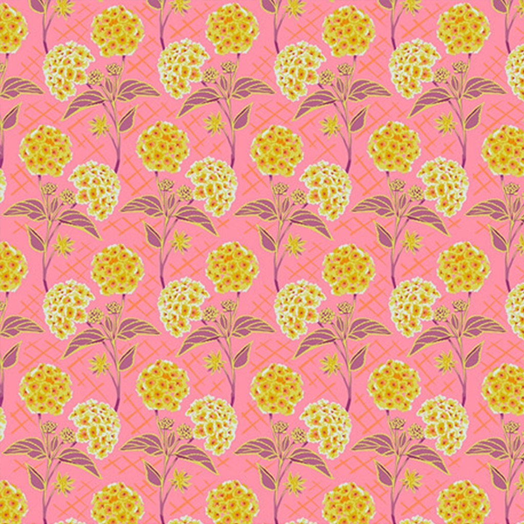 #5527 Half Yard