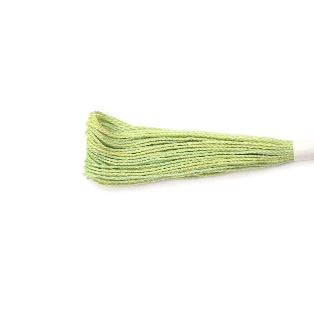 Natural Dyed Embroidery Thread - Green 6