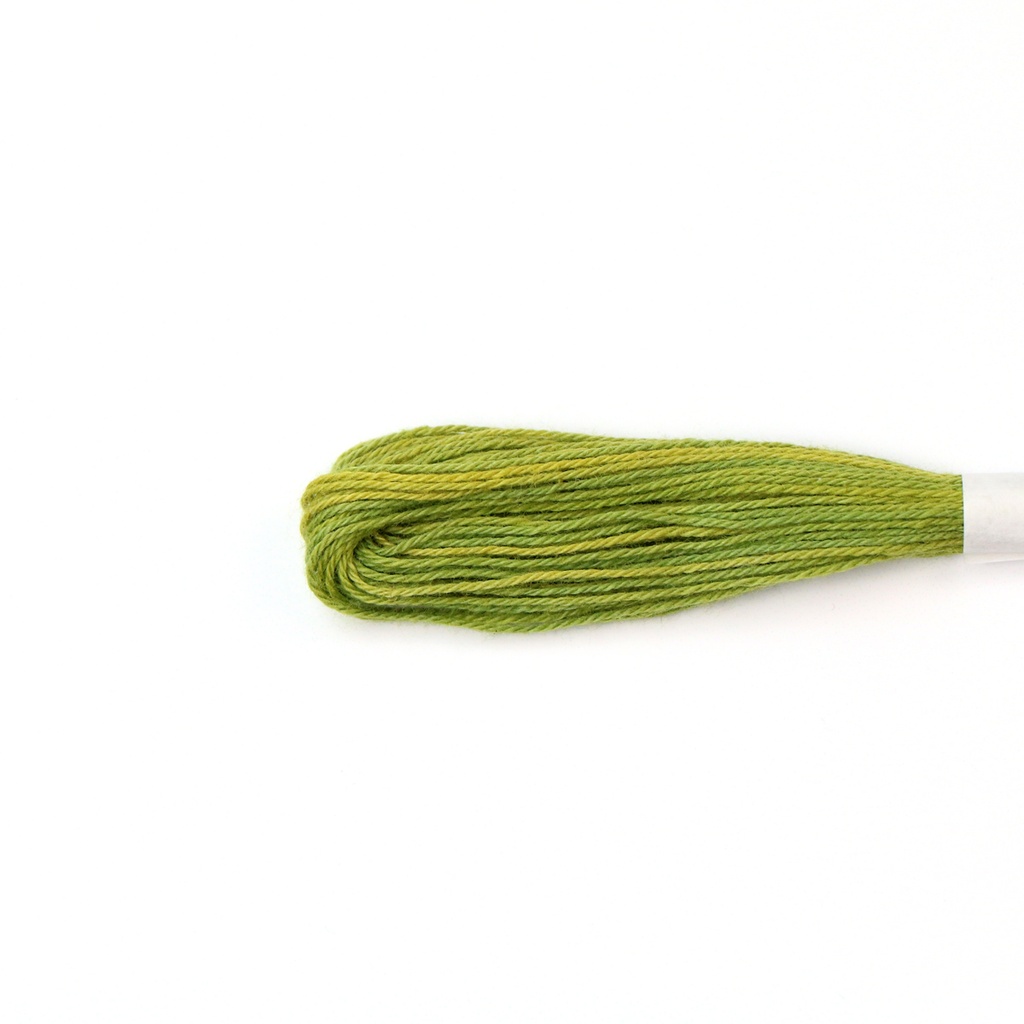 Natural Dyed Embroidery Thread - Green 7