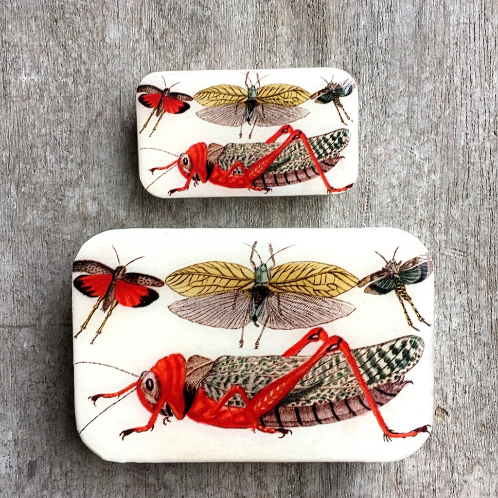 Cricket Magnetic Notions Tin