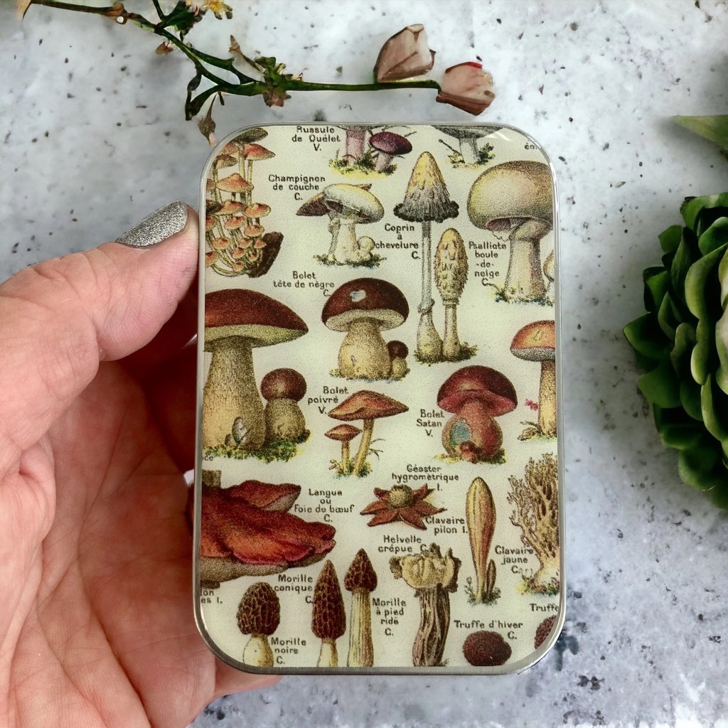 Mushroom Magnetic Notions Tin