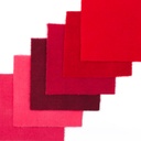 5" x 5" Solid Paint Chips - Red