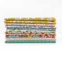 Prairie Picnic Liberty FQ Bundle