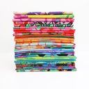 Kaffe Fassett Collective February 2024 Bright FQ Bundle