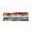 Feline Frenzy FQ Bundle