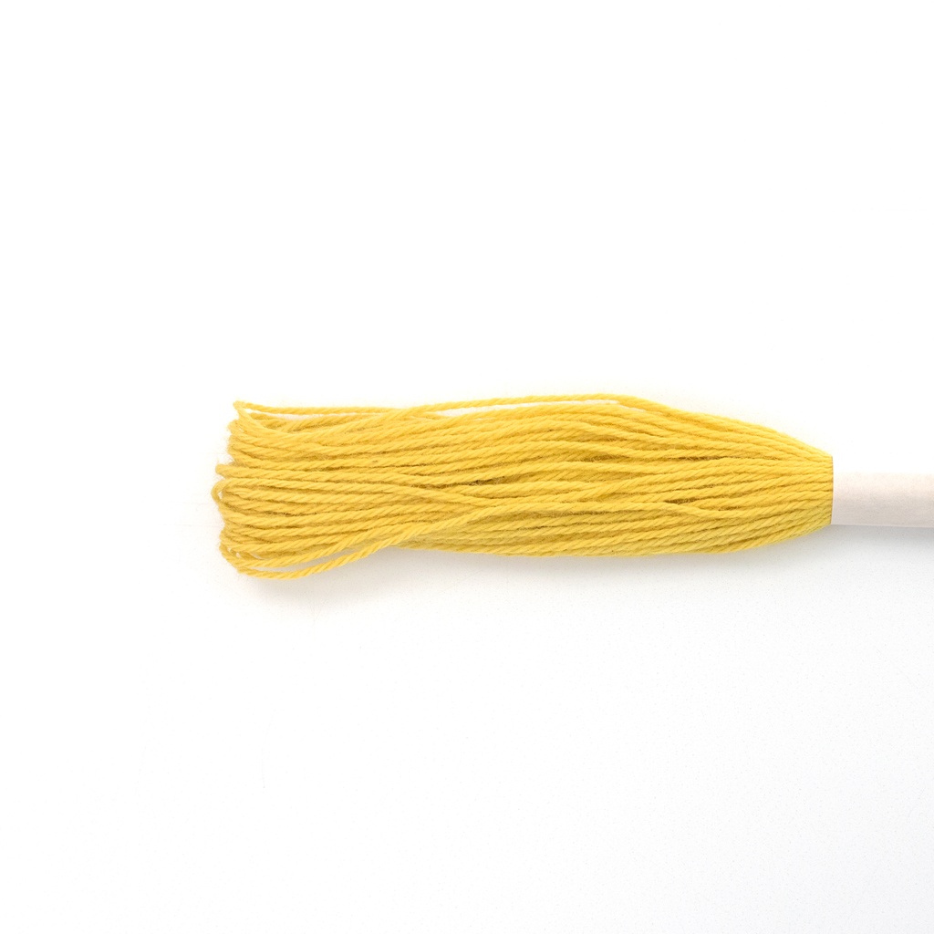 [NON-NY2] Natural Dyed Embroidery Thread (Y2)