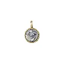 Echinacea Charm