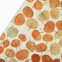 Eco Print Wool Fat 1/4 - Mixed Eucalyptus