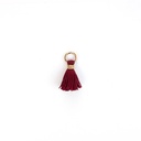 Tassels Charm