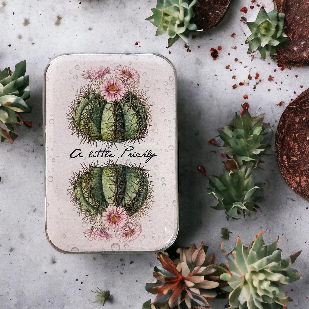 [FFN-011] Cactus Magnetic Notions Tin
