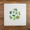 HOB Leafy Greens Embroidery Kit