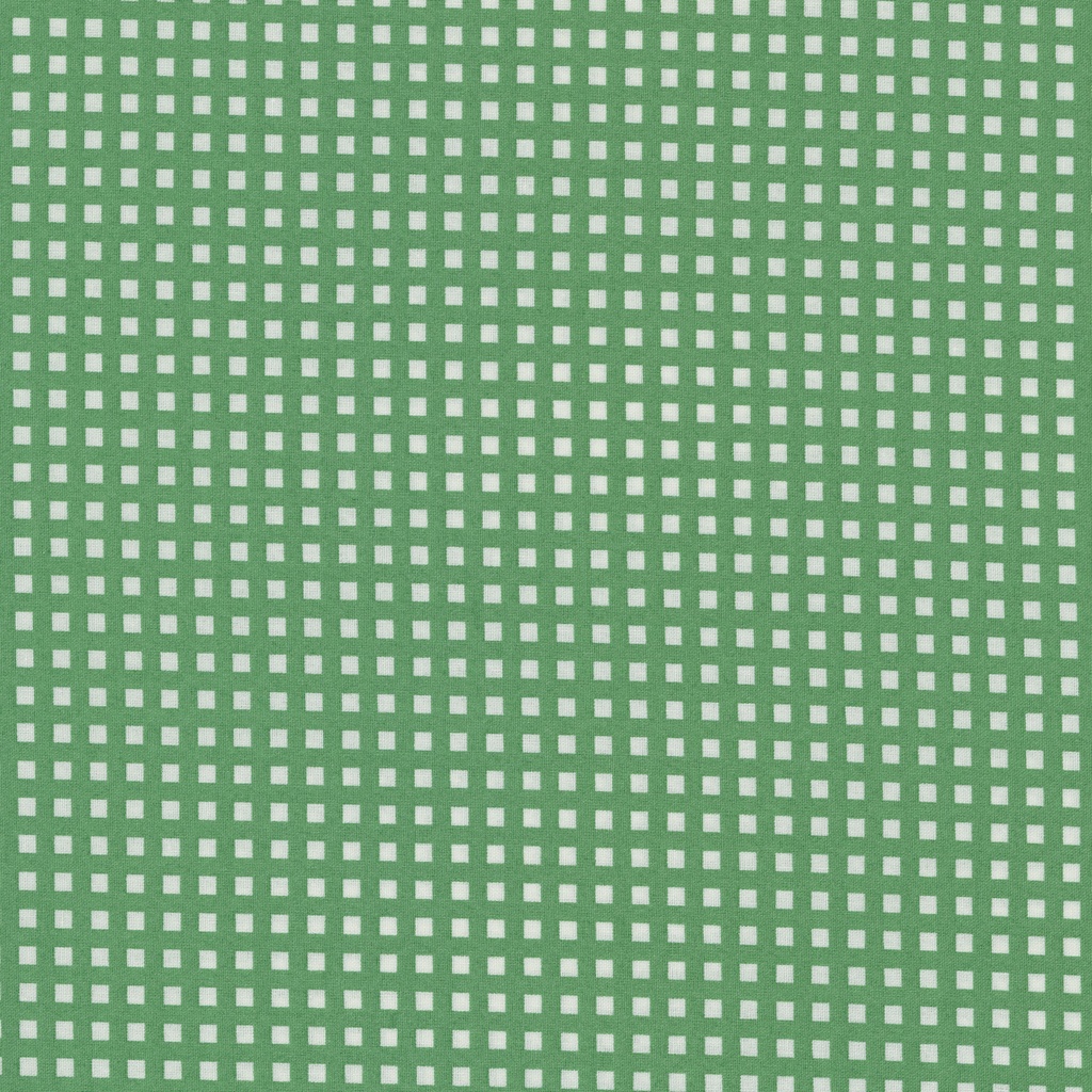 #14302 Half Yard