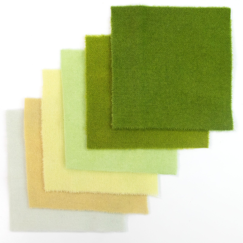 5" x 5" Solid Paint Chips - Juniper Grove