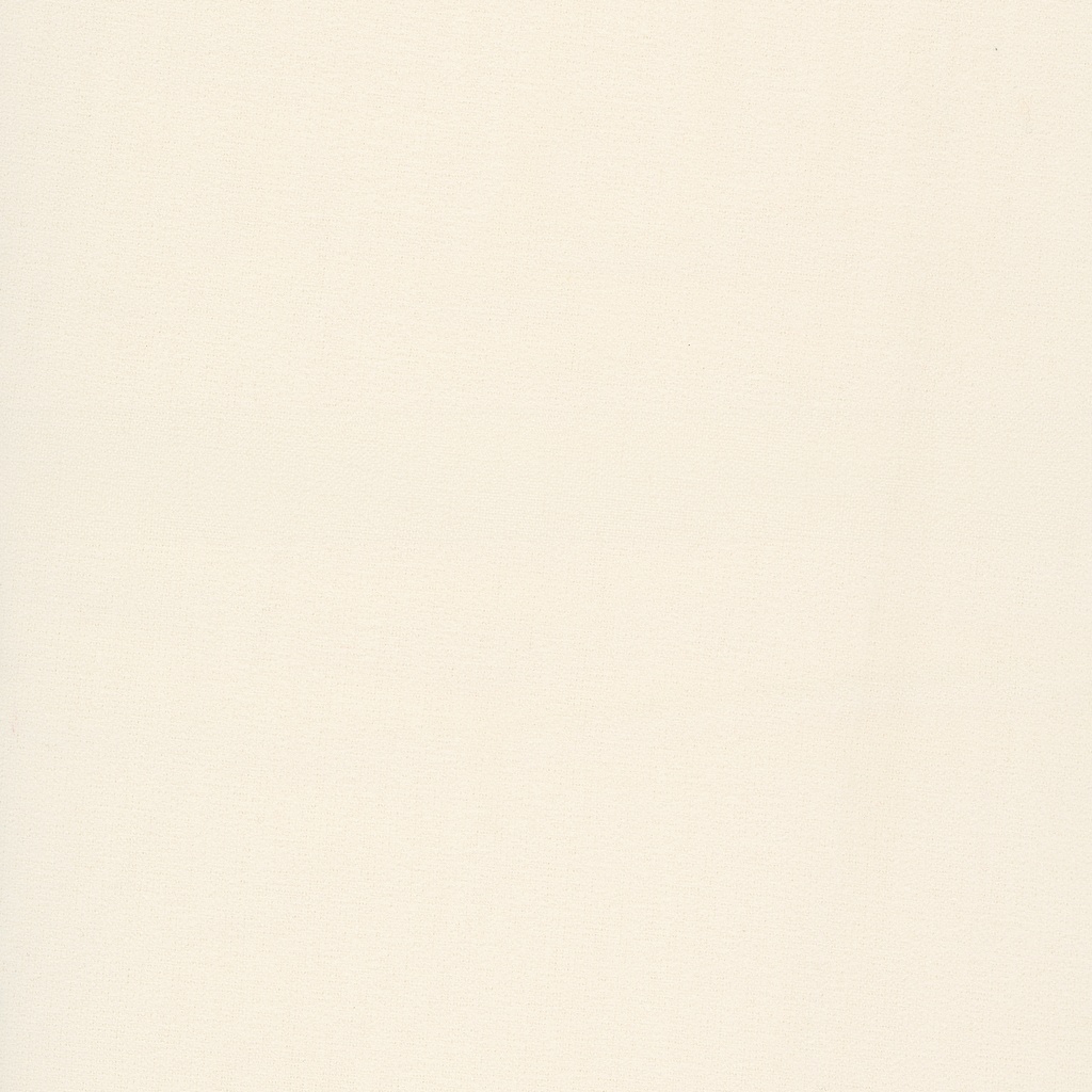 #10645 Half Yard - Flannel