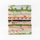 Studio Edit by Heather Ross FQ Bundle